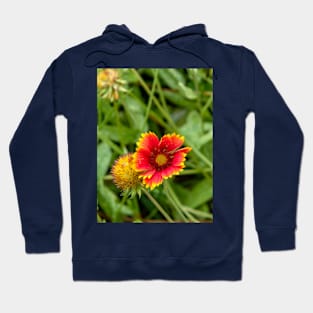 Red Flower with Yellow Petals Among Greenery Hoodie